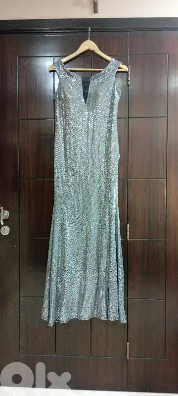 Long sparkly silver dress. Very unique and classy for all  occasions