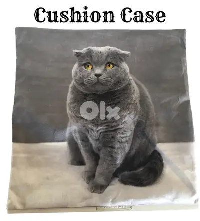 cushion case