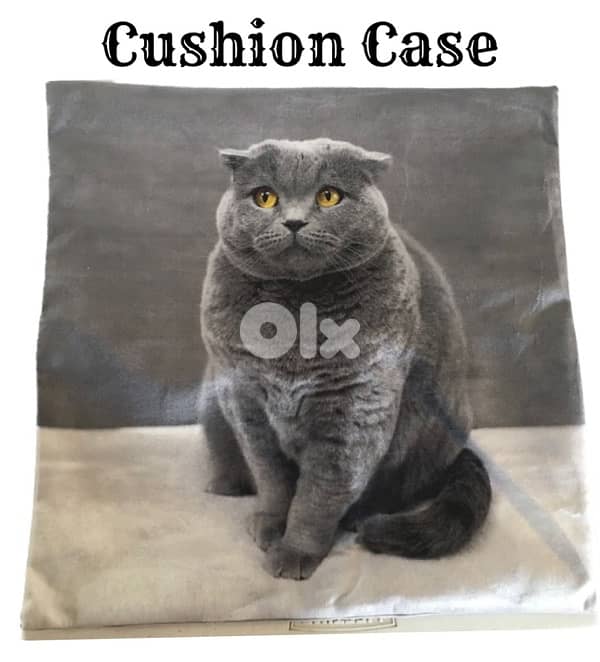 cushion case 0