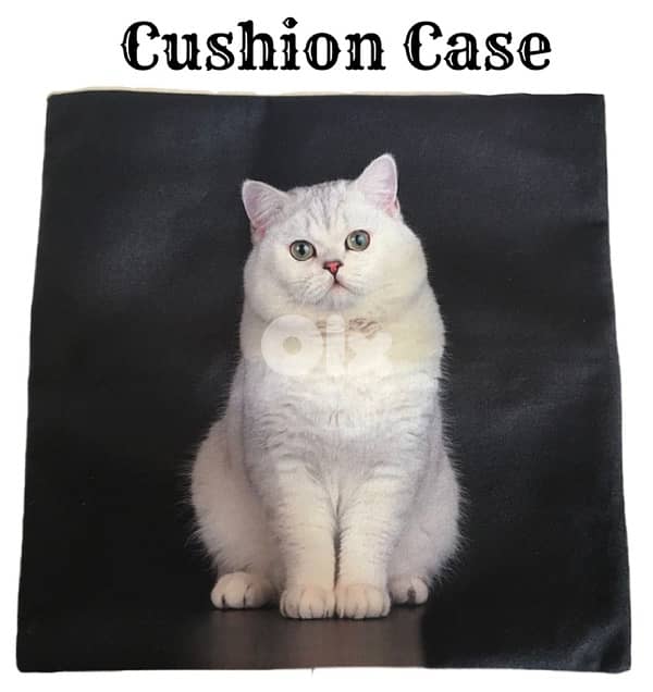 cushion case 1