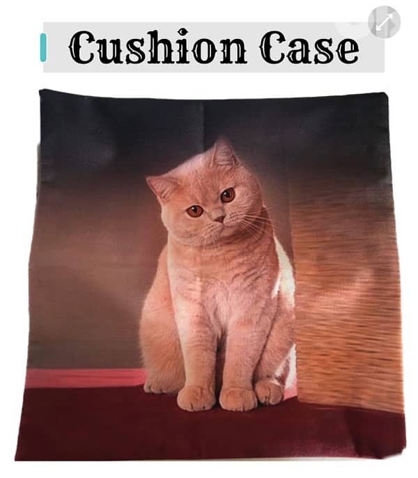 cushion case 2