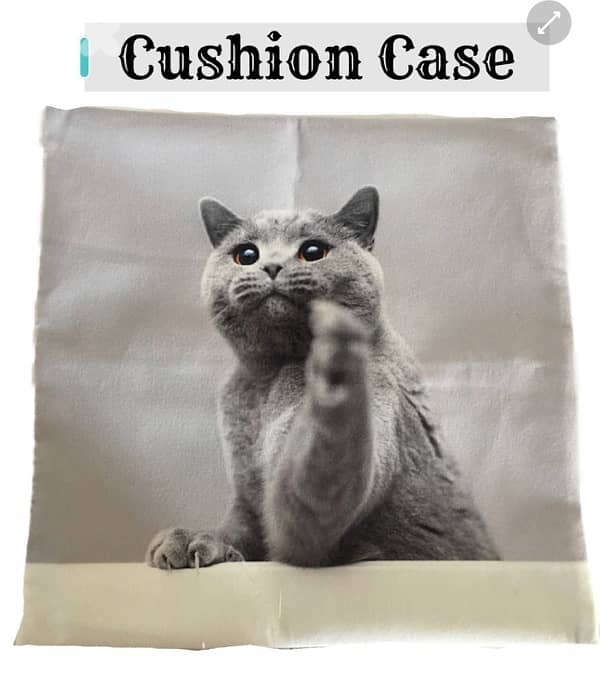 cushion case 3