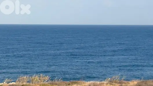 Land for sale in Berbara-Jbeil أرض للبيع في بربارة-جبيل