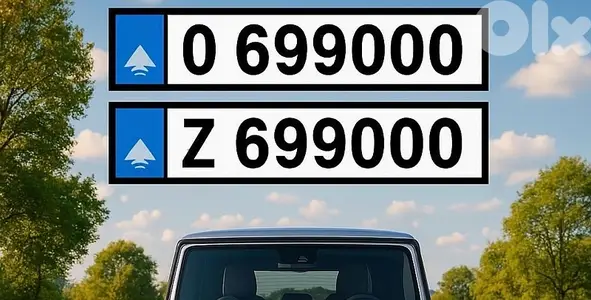 O 699000 & Z 699000