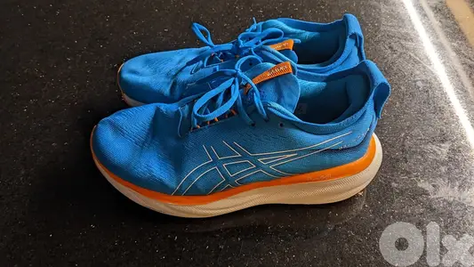 ASICS Gel Nimbus 25  size 45 WIDE