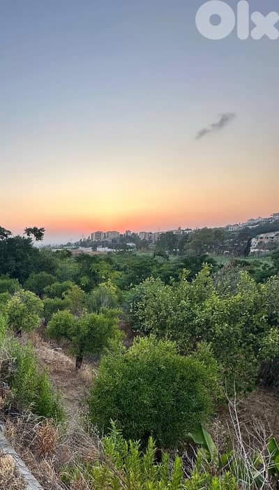 Land for sale in Batroun