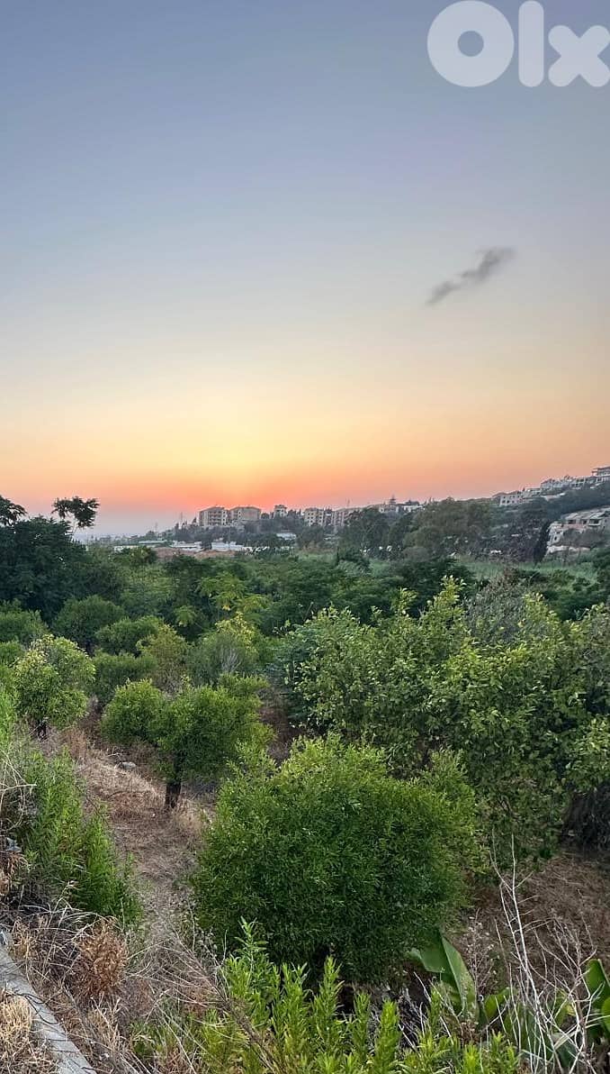 Land for sale in Batroun 0