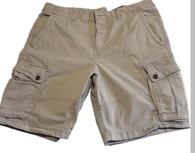 American Eagle shorts 2