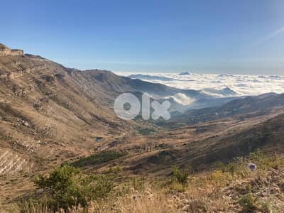 Land for sale in Tannourine Al Fawka-Batrounأرض للبيع في تنورين الفوقا