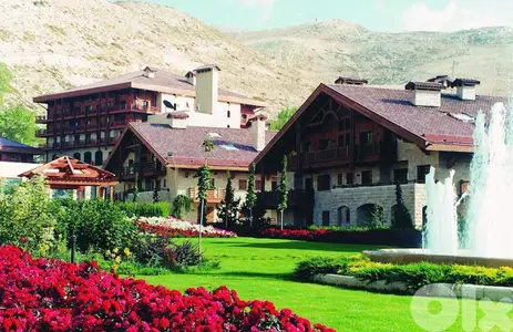 Furnished Studio For Rent In Faraya,Mzar 2000 ستوديو للاجار في فريا