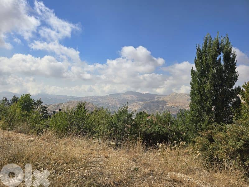 Land for Sale 1