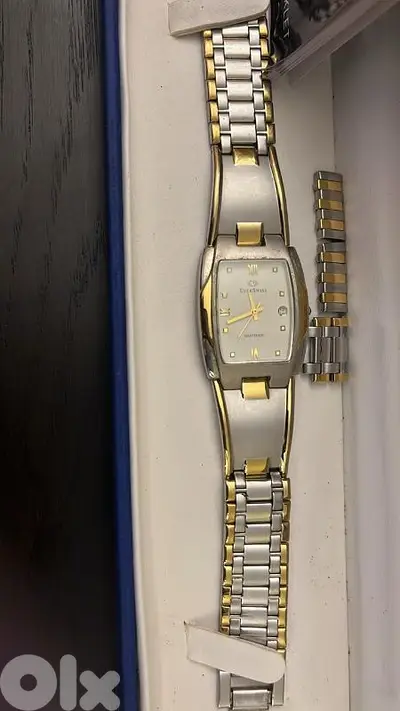 Ever swiss Gold Plated Men Watch