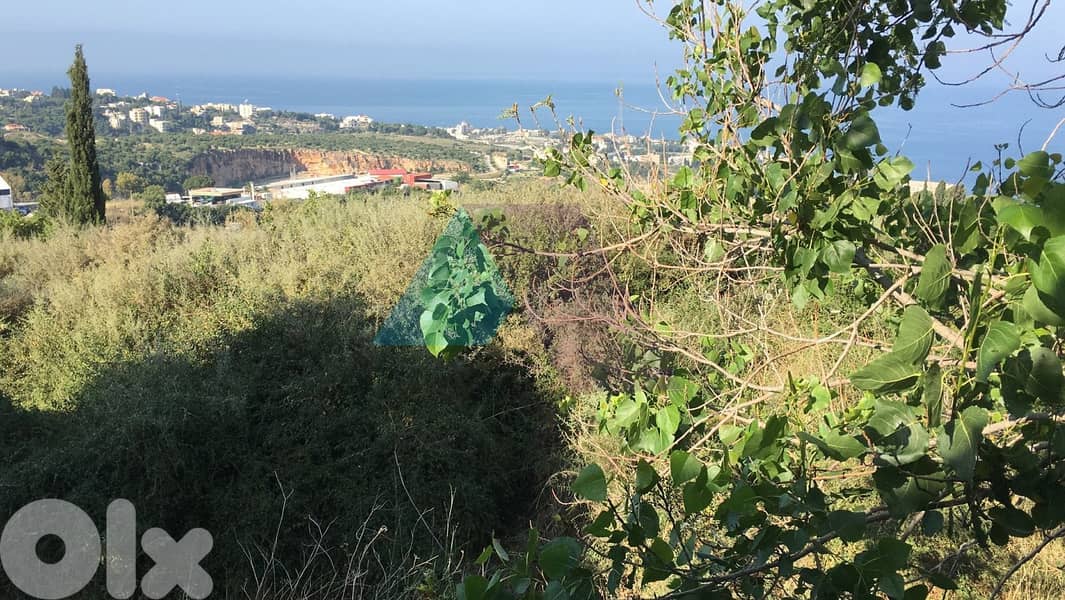 1620m2 villa+mountain/sea view+Garden/Terrace 4sale in Jdayel/Jbeil 0
