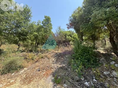 1294m2 Land+Mountain View 4sale in Mechmech/Jbeil - أرض للبيع في مشمش