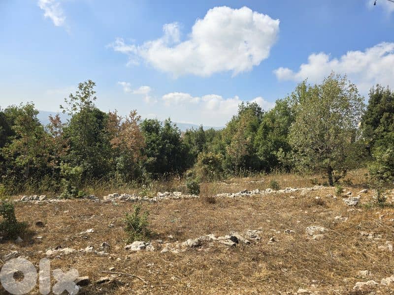 Land for Sale 0