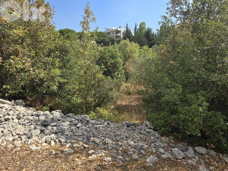 Land for Sale 1