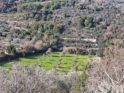 Land for sale in Ain Kfaa - أرض للبيع في عين كفاع