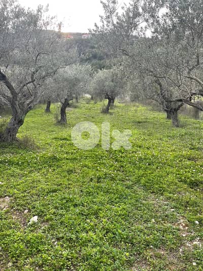 Land for sale in Ain Kfaa - أرض للبيع في عين كفاع
