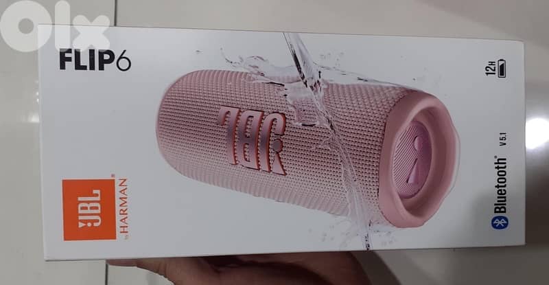 Jbl Flip 6 Pink last 0