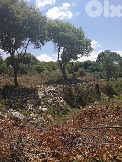 Land for sale in Mrah El Ziyet-Batroun أرض للبيع في مراح الزيات