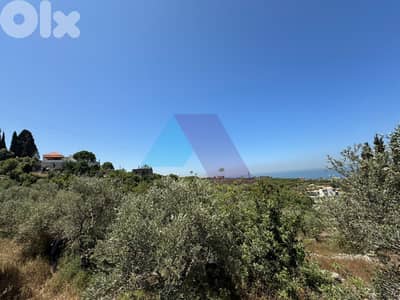 3262m2 Land+Sea/mountain View 4sale in Mounsef/Jbeil-أرض للبيع في جبيل