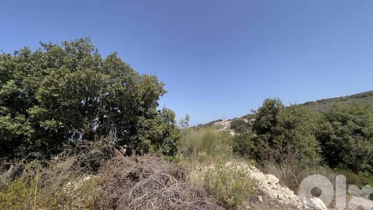 RWB281CA - Land for sale in Berbara Jbeil