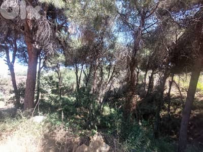 940 SQM Land in Mtayleb, Metn with Mountain View
