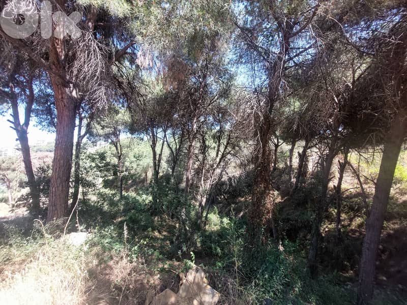 940 SQM Land in Mtayleb, Metn with Mountain View 0