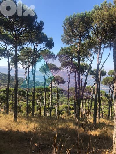 Hot Deal, Land-Prime Location-4sale in Naas / Bikfaya Near Moza Castle