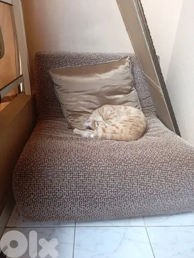 open single lazy Sofa bed