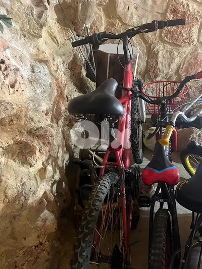 bicycle grand