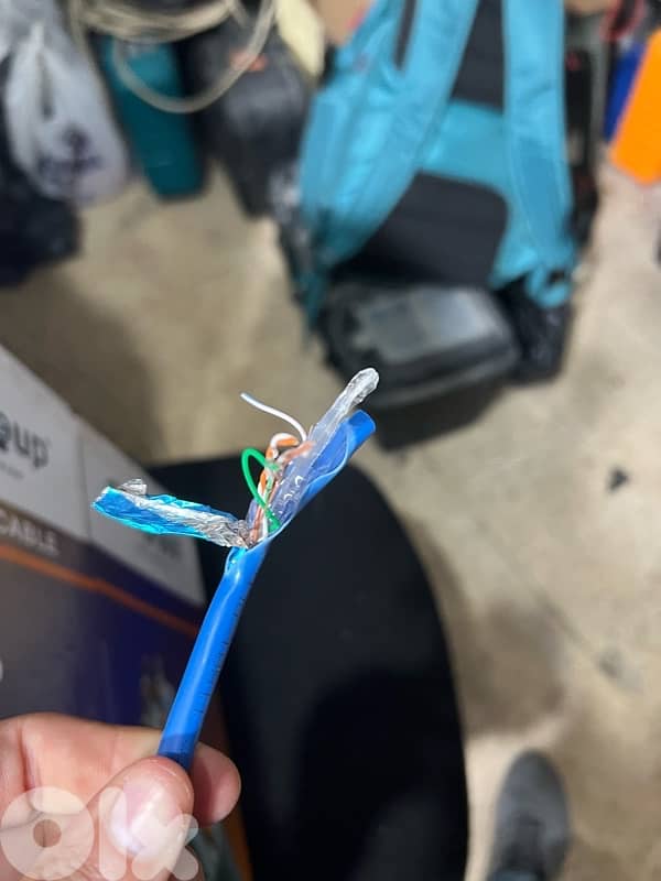 cat6 network 1
