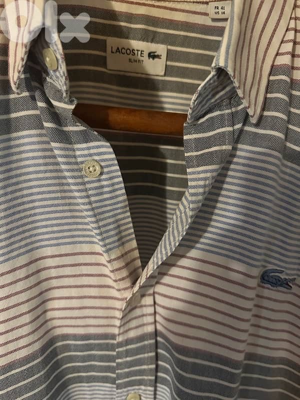 lacoste Shirt 2
