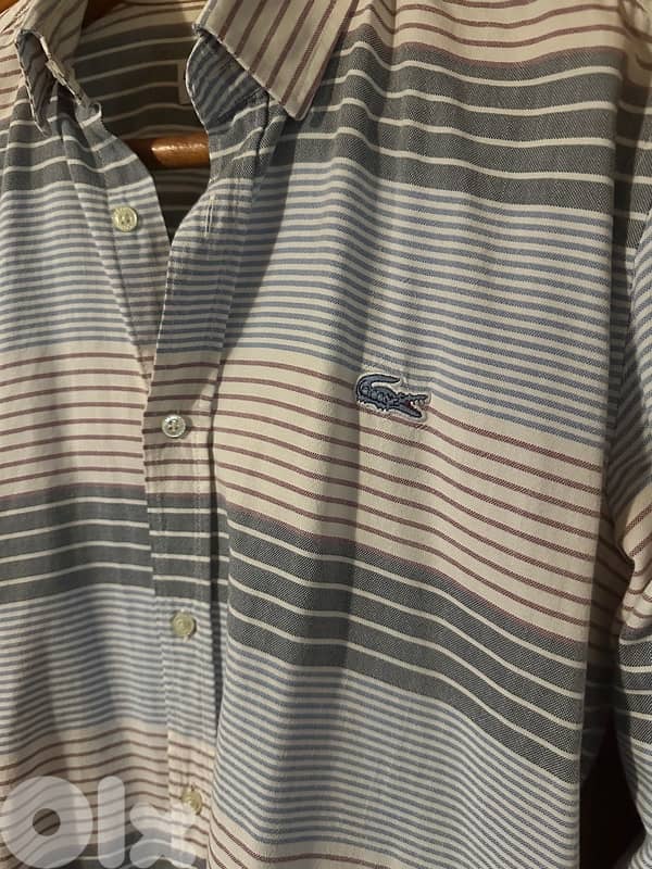 lacoste Shirt 3