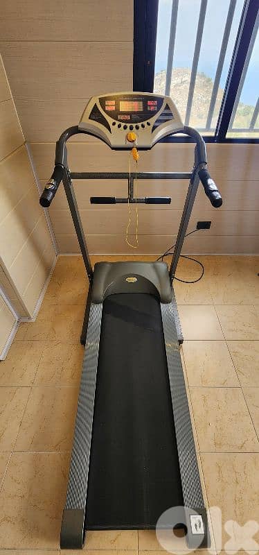 Treadmill & Inversion table 0