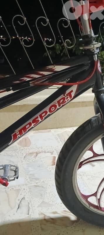 sport bicycle 0