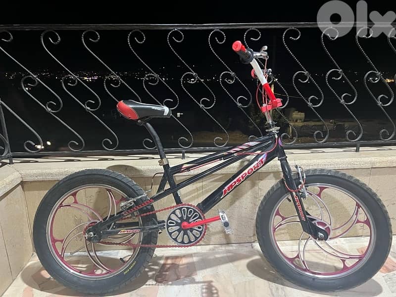sport bicycle 2
