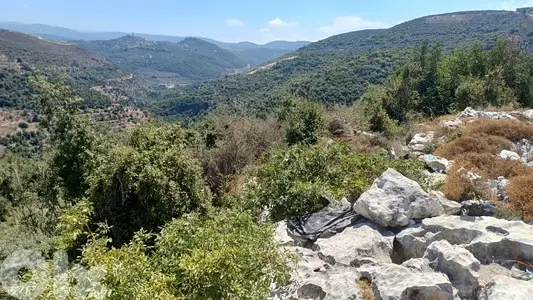 Land for sale in batroun أرض للبيع في البترون