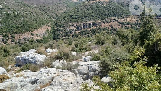 Land for sale in batroun أرض للبيع في البترون