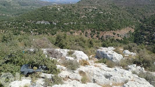 Land for sale in batroun أرض للبيع في البترون