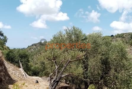 Land For Sale in Kafer – Jbeil -  CPJRK269