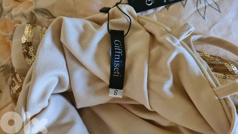 dress 1