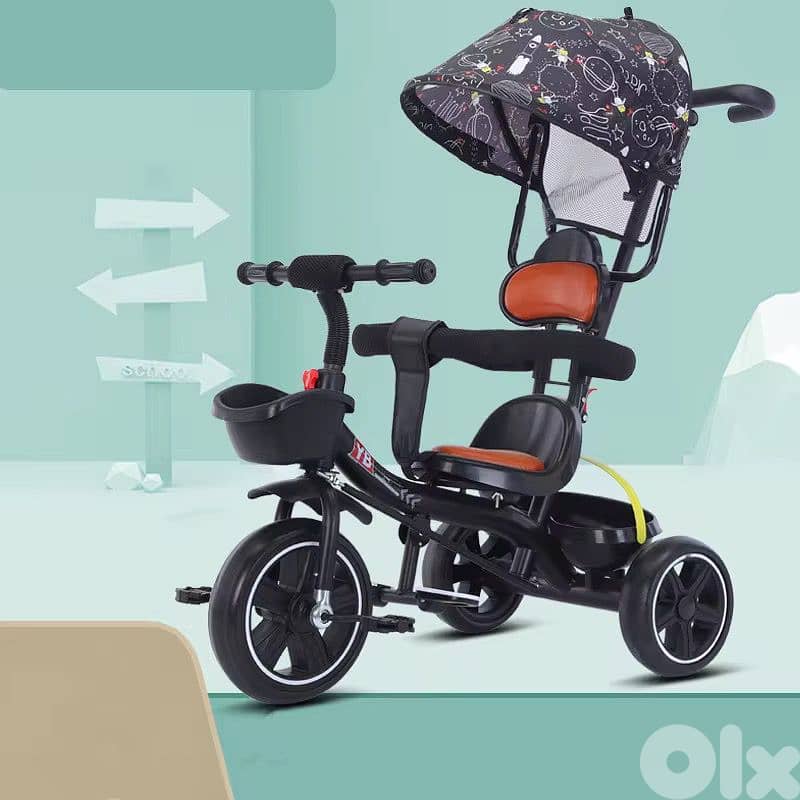 Tricycle with canopy 0