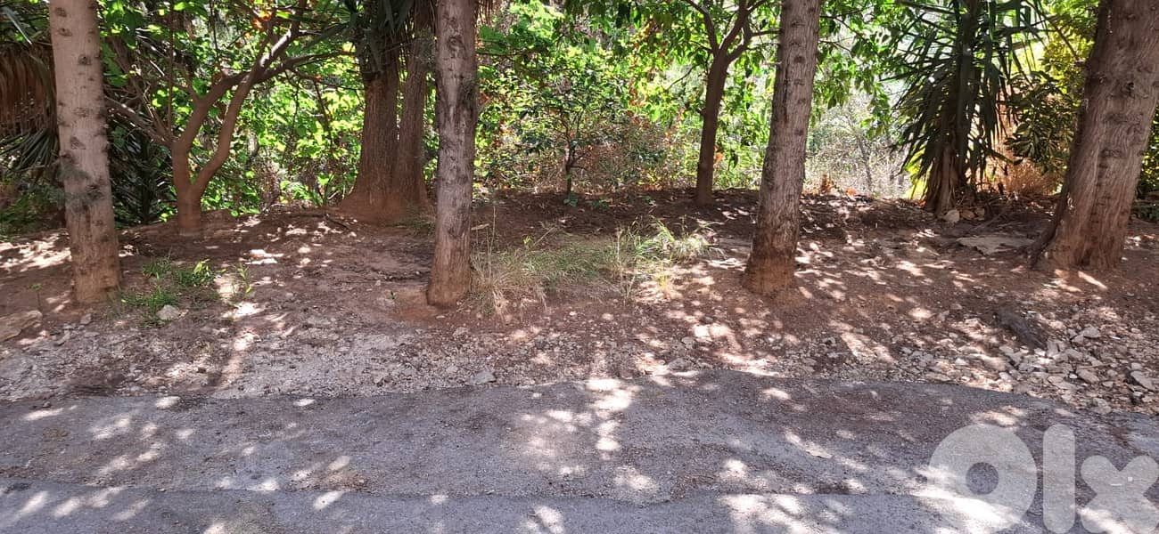 L19012 - 1,208 SQM Land For Sale in Dik El Mehdi 2