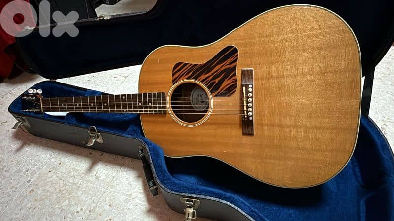 Gibson J-35 Electro Acoustin 1