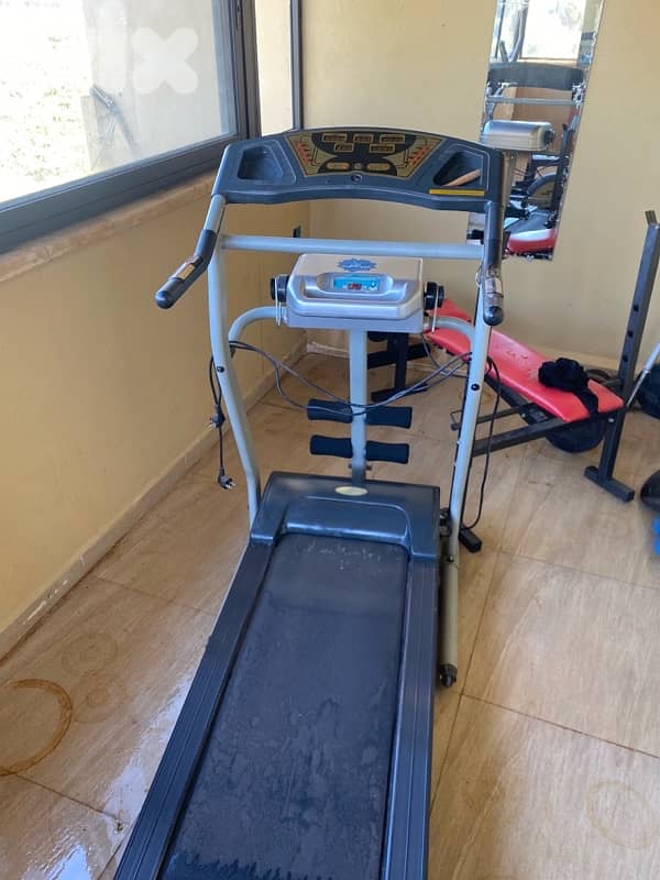 stepper and treadmill 1