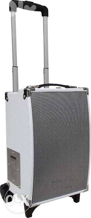 Jay-tech MCP100 Speaker Black-60 Watt RMS(made in GERMANY)/4$Delivery 2