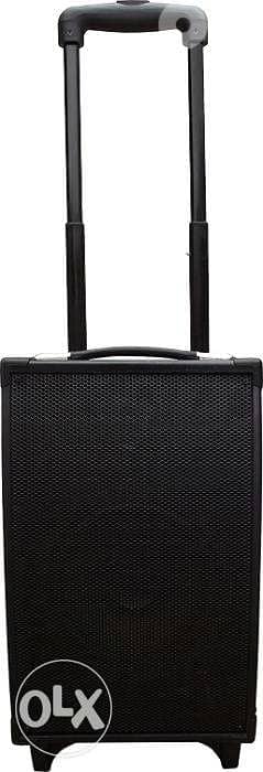 Jay-tech MCP100 Speaker Black-60 Watt RMS(made in GERMANY)/4$Delivery 5