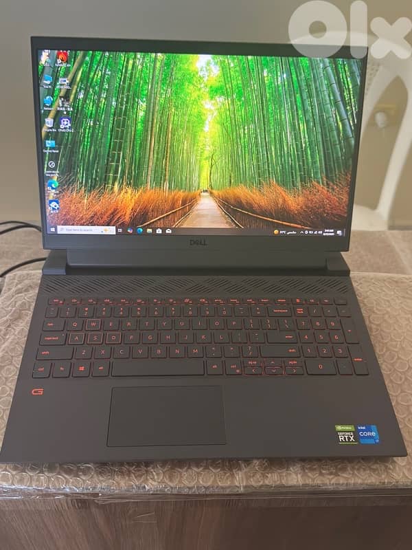 Dell G15 5510 1