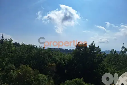 Land For Sale In Azra - CPJGK03